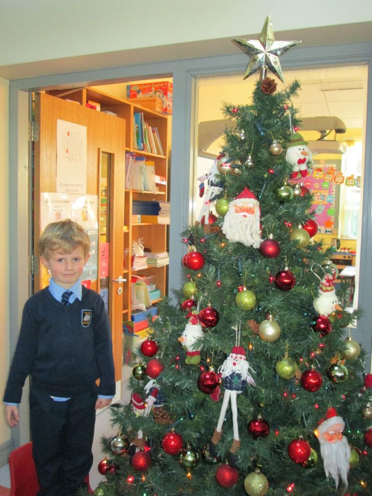 Decorating the Christmas Trees in St. John\'s
