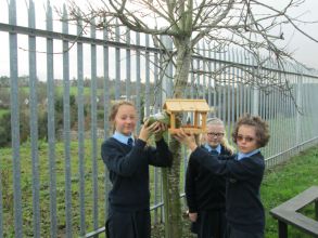 ECO NEWS